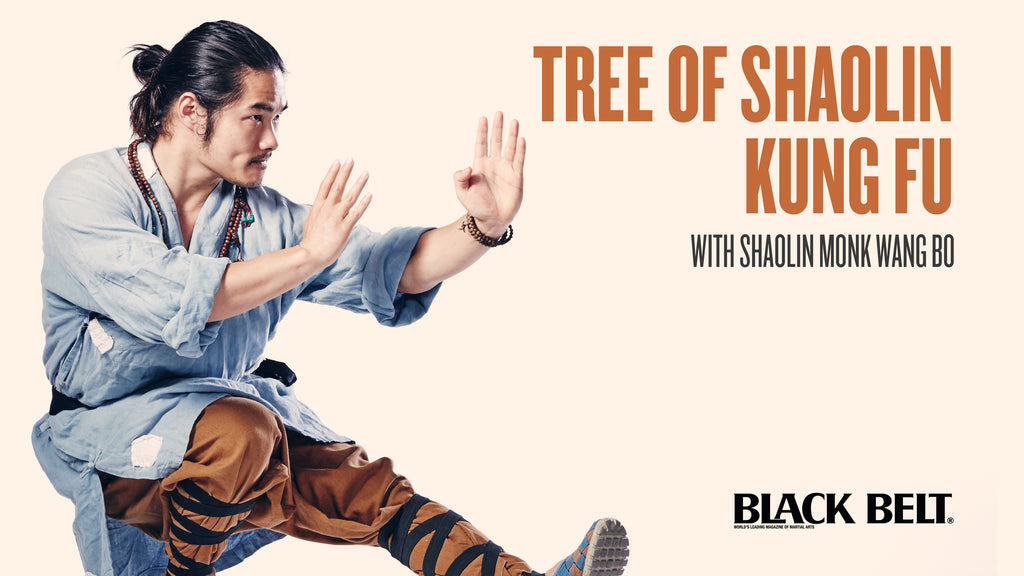 Tree of Shaolin Kung Fu with Shaolin Monk Wang Bo Tree of Shaolin Kung Fu with Shaolin Monk Wang Bo